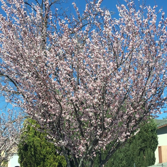 Meet your Posher, Erika - Picture 1 of 1